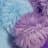 ししょーのプロフィール画像