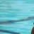 広い世界に青い海のプロフィール画像