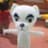 中津のプロフィール画像