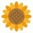 ひまわり速報のプロフィール画像