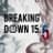 BreakingDown / ブレイキングダウンのプロフィール画像
