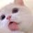 るちのプロフィール画像