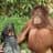 Nature is Amazingのプロフィール画像